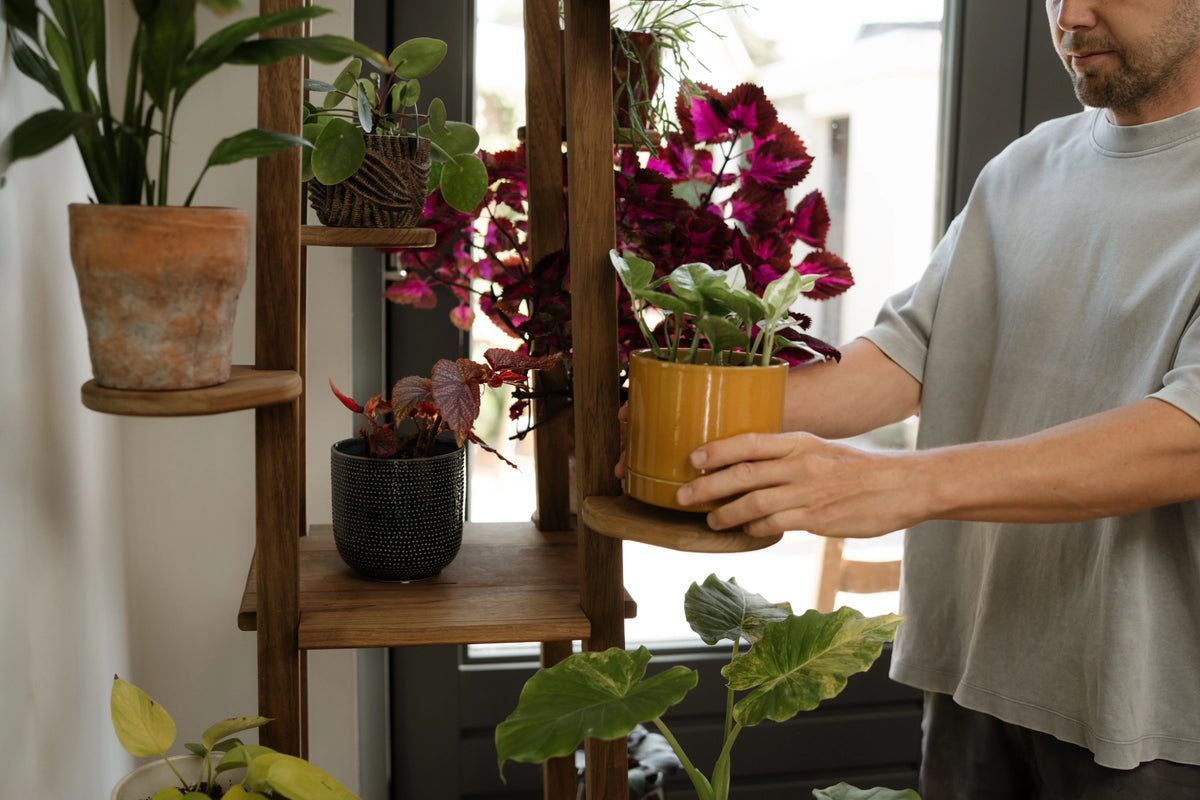 Alex plaatst een plant op de plantenboom