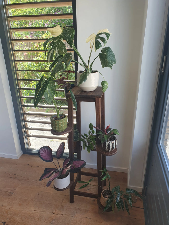 Plantenboom van Fraké met acht planten