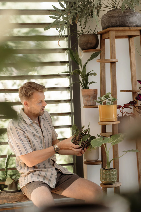 Alex zet een plant in een houten plantenrek bij het raam