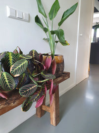 Wagondeelbank 140 cm zijaanzicht